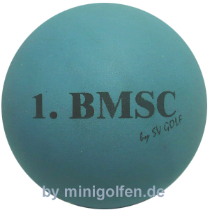 SV 1.BMSC