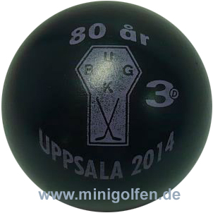 3D Uppsala 2014