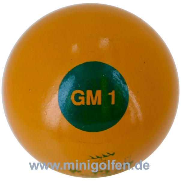 Wagner Grötzinger GM 1 grün/orange