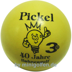 3D 40 Jahre Pickel