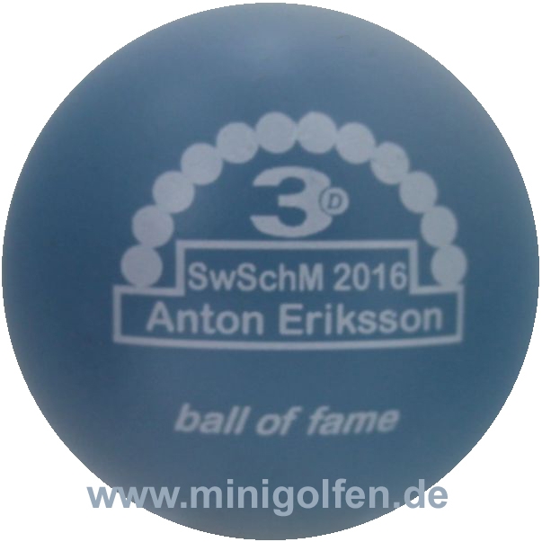 3D BoF SwSchM 2016 Anton Eriksson