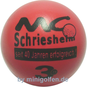 3D 40 Jahre MC Schriesheim