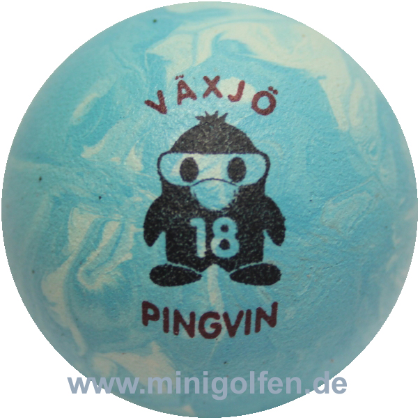 Pingvin Växjö 18