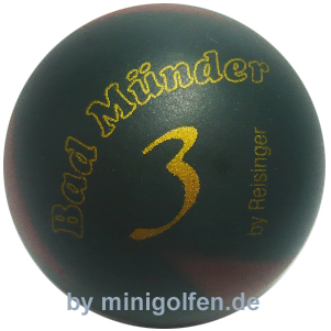 Reisinger Bad Münder 3