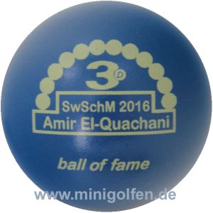 3D BoF SwSchM 2016 Amir El-Quachani