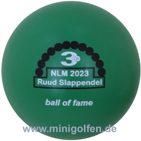 3D NLM 2023 Ruud Slappendel