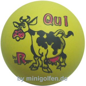 Reisinger Qu1