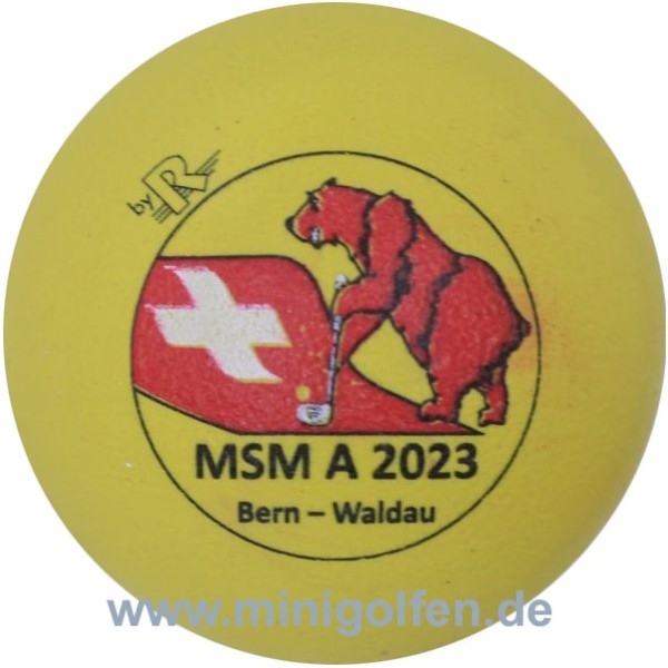 Reisinger MSM A 2023 Bern